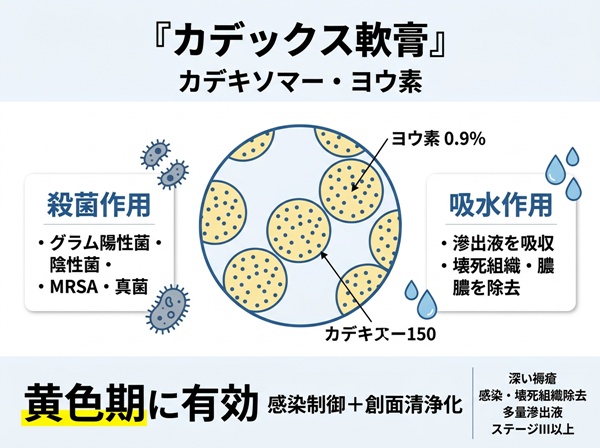 カデックス軟膏