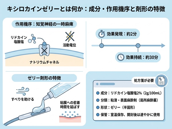 キシロカインゼリーとは何か