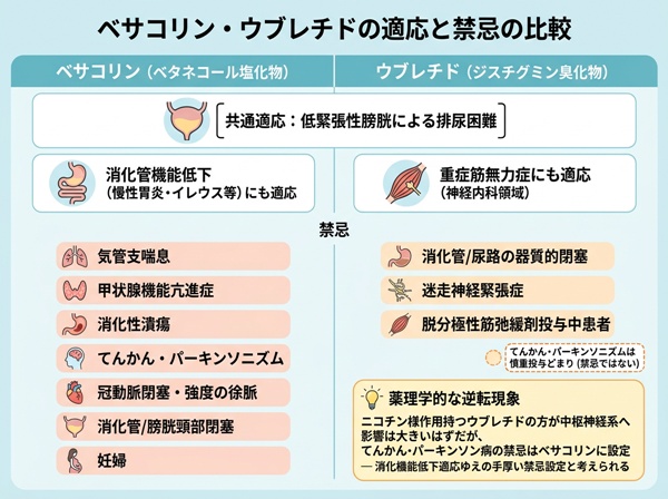 ベサコリン・ウブレチドの適応と禁忌の比較