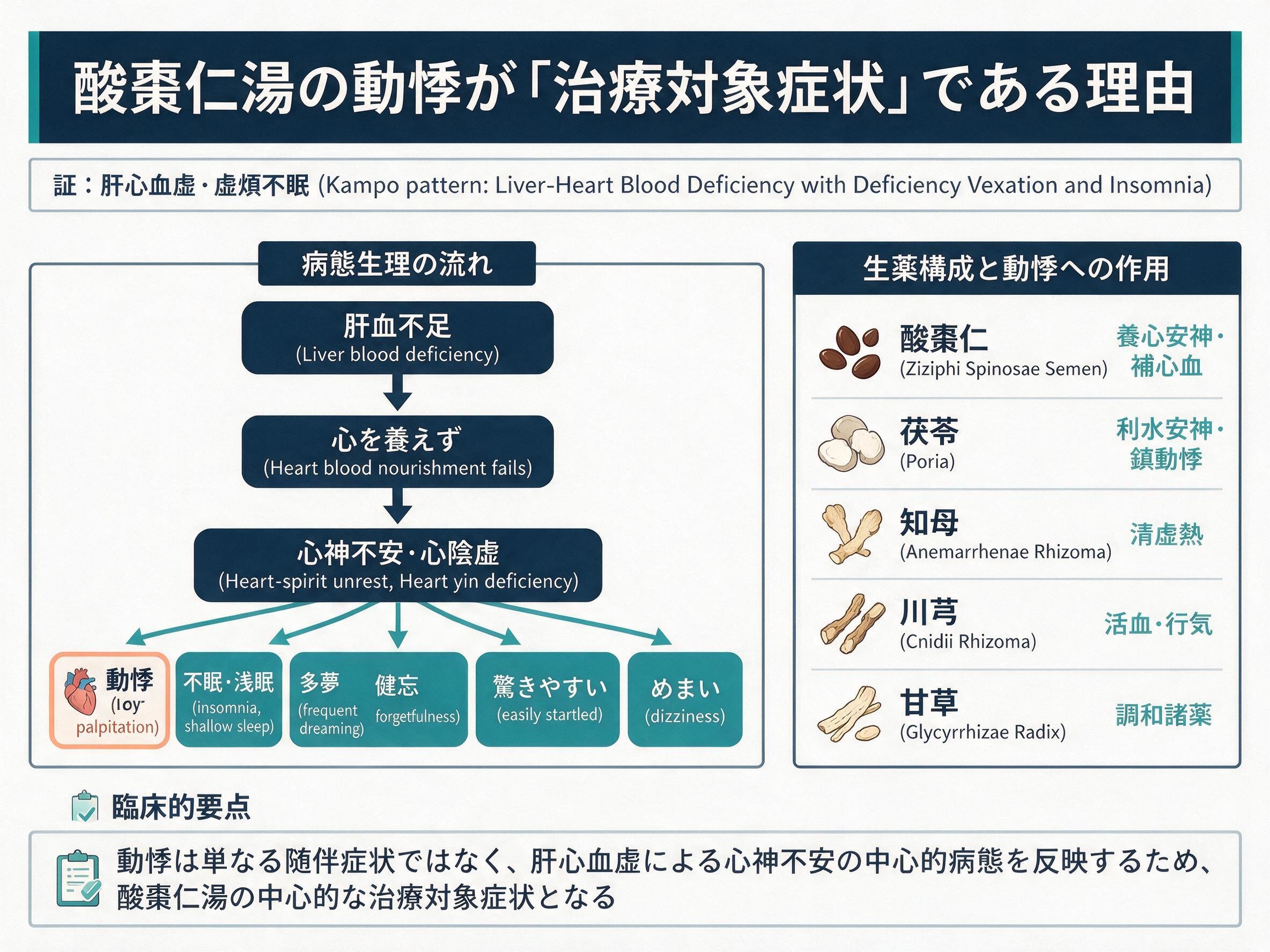酸棗仁湯の動悸が「治療対象症状」である理由